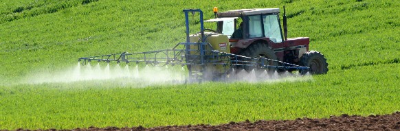 Ingénieur Agricole