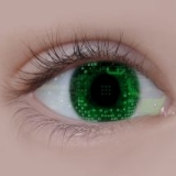 Ingénieur développement logiciel