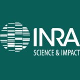 Jusqu’au 20 mars, l’INRA recrute 137 ingénieurs, cadres ou techniciens.