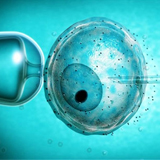 Pour la première fois des chercheurs ont modifié l'ADN d'un embryon humain